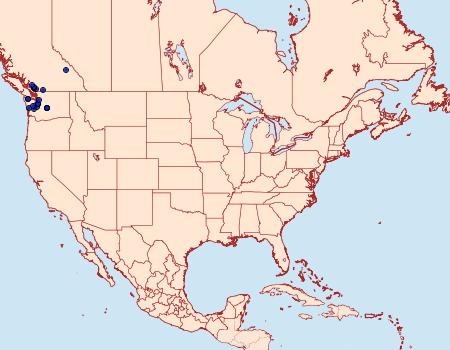 Distribution Data for Epimartyria bimaculella