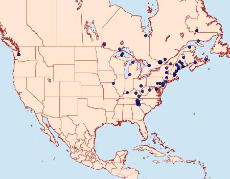 Distribution Data for Epimartyria auricrinella