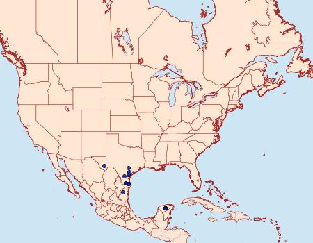 Distribution Data for Ethmia semiombra