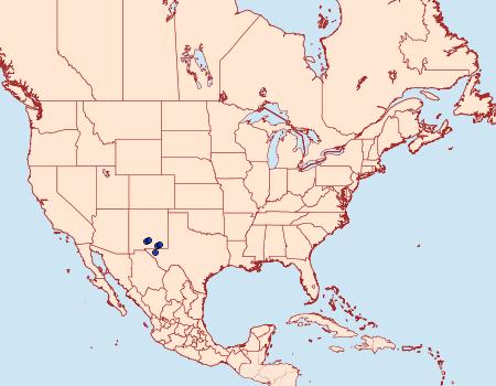 Distribution Data for Poolea psaphidoides