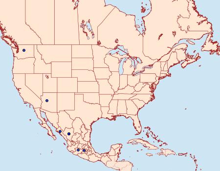 Distribution Data for Ethmia sphenisca