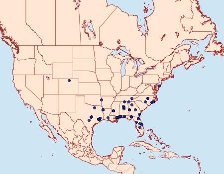 Distribution Data for Autosticha kyotensis