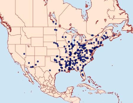 Distribution Data for Antaeotricha schlaegeri