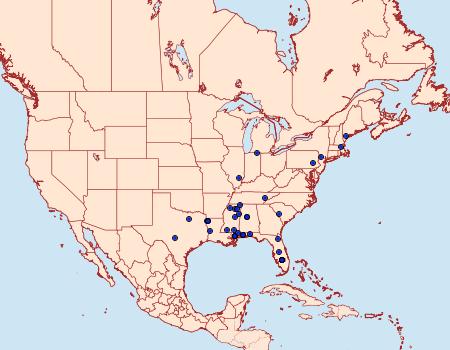 Distribution Data for Antaeotricha unipunctella