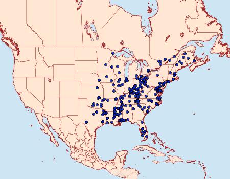 Distribution Data for Antaeotricha leucillana