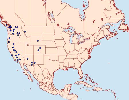 Distribution Data for Sympistis dunbari