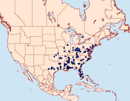 Distribution Data for Antaeotricha humilis