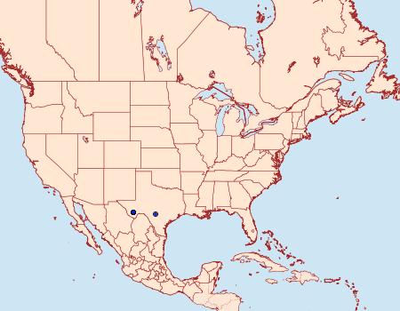 Distribution Data for Antaeotricha agrioschista