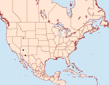 Distribution Data for Antaeotricha thomasi