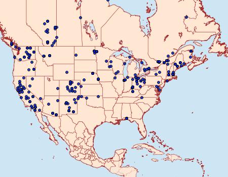 Distribution Data for Anarta trifolii