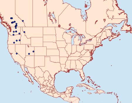 Distribution Data for Anarta columbica