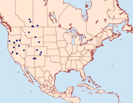 Distribution Data for Scotogramma fervida