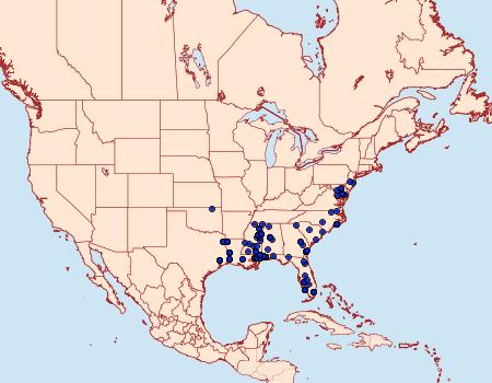 Distribution Data for Antaeotricha albulella