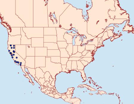 Distribution Data for Antaeotricha manzanitae