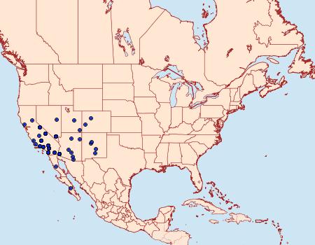 Distribution Data for Tridepia nova