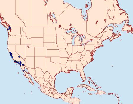 Distribution Data for Anarta edwardsii