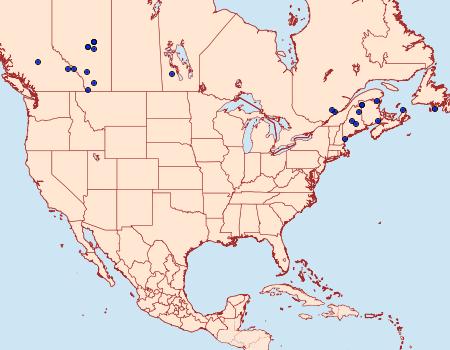 Distribution Data for Mamestra curialis