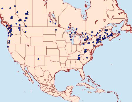 Distribution Data for Polia nimbosa