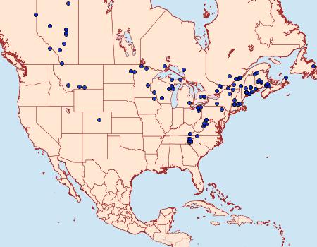 Distribution Data for Polia imbrifera