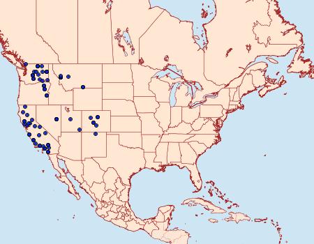 Distribution Data for 