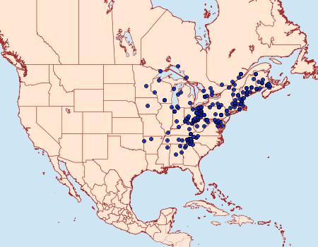 Distribution Data for Morrisonia latex