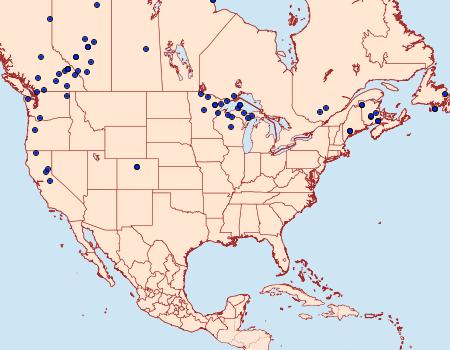 Distribution Data for Melanchra pulverulenta