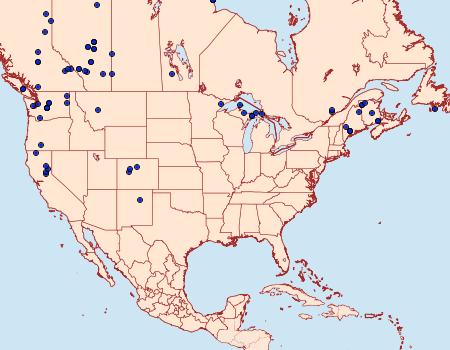 Distribution Data for Lacanobia radix