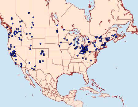 Distribution Data for Lacanobia subjuncta