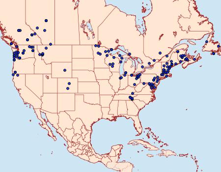 Distribution Data for Spiramater lutra