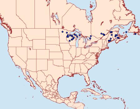 Distribution Data for Trichordestra rugosa