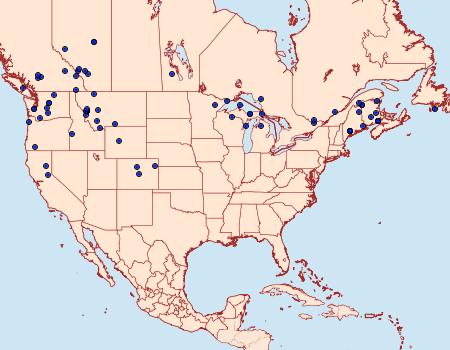 Distribution Data for Trichordestra tacoma