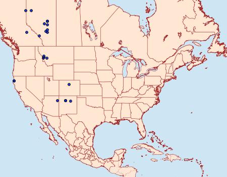 Distribution Data for Trichordestra dodii