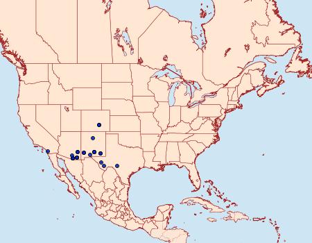 Distribution Data for Trichordestra prodeniformis