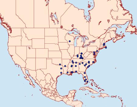 Distribution Data for Menesta melanella