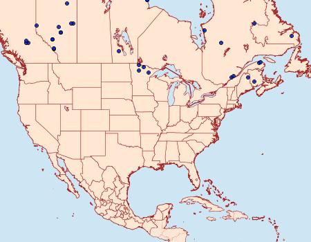 Distribution Data for Lasionycta secedens