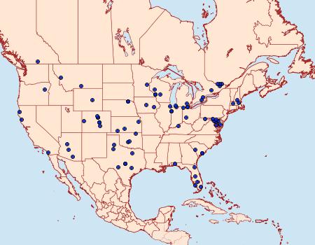 Distribution Data for Hadena capsularis