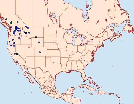 Distribution Data for Hadena ectrapela