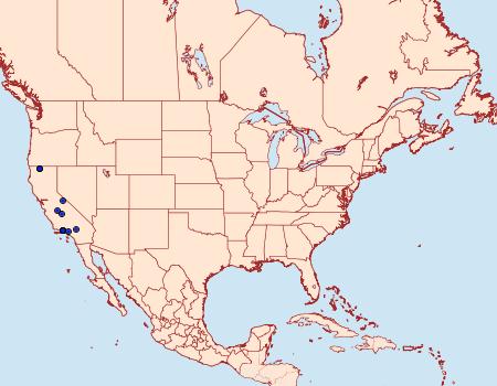 Distribution Data for Hadena maccabei