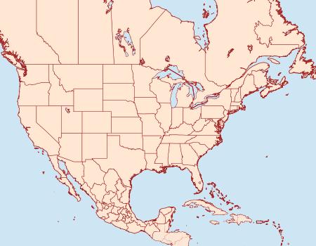 Distribution Data for Hadena paulula