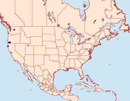 Distribution Data for Hadena siskiyou