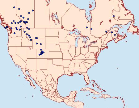 Distribution Data for Hada sutrina