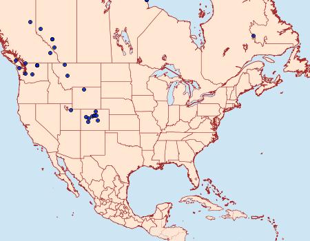 Distribution Data for Anarta nigrolunata