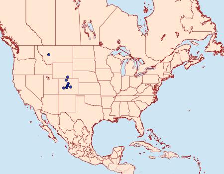 Distribution Data for Lasionycta coloradensis