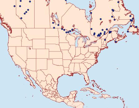 Distribution Data for Lasionycta taigata