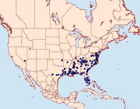 Distribution Data for Inga sparsiciliella