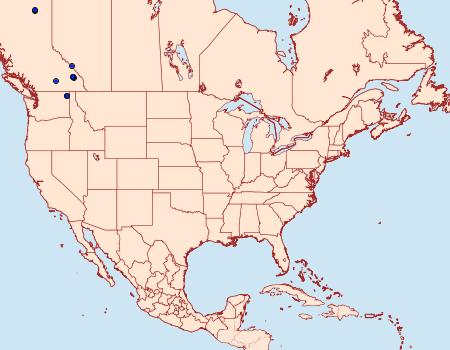 Distribution Data for Lasionycta brunnea