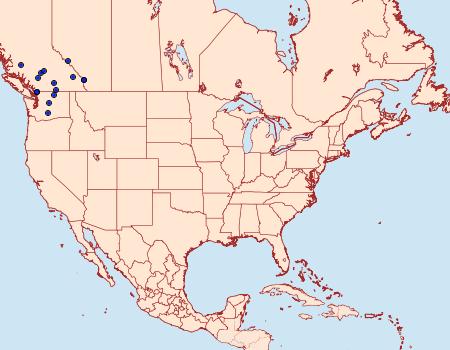 Distribution Data for Lasionycta perplexella