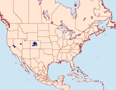 Distribution Data for Lasionycta benjamini