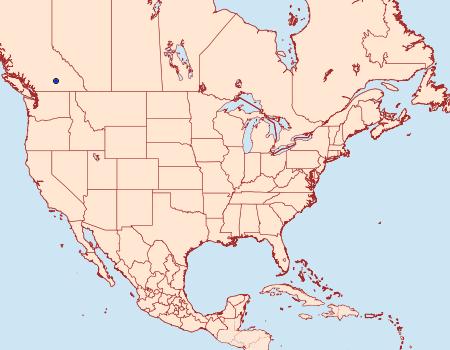 Distribution Data for Lasionycta haida