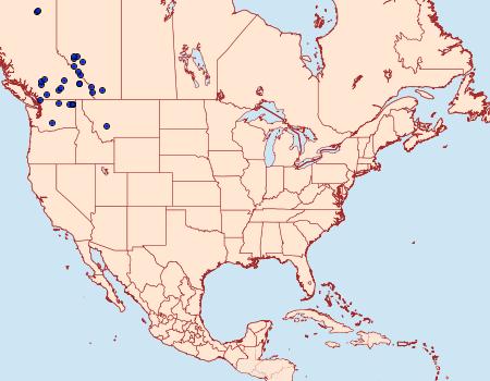 Distribution Data for Lasionycta fergusoni